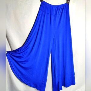 Spandex Gaucho Dance/Leisure Pants Blue Sz S